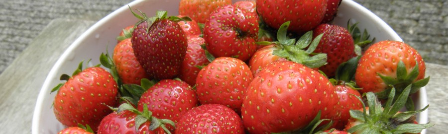 Zomer: werk aan de winkel. Lees de tuinkalender.